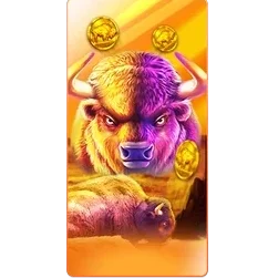 Buffalo
King