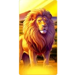 Lion
Safari